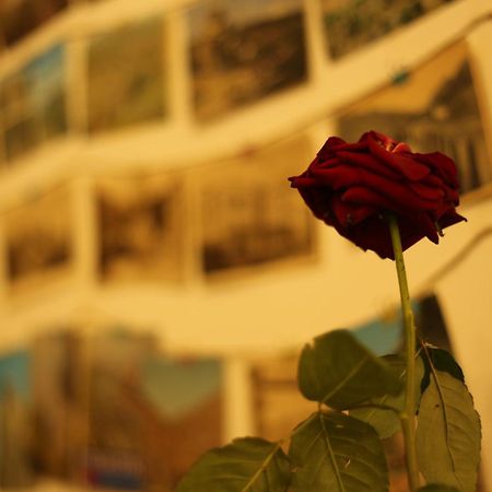 Moosica Hostel Tbilisi ภายนอก รูปภาพ
