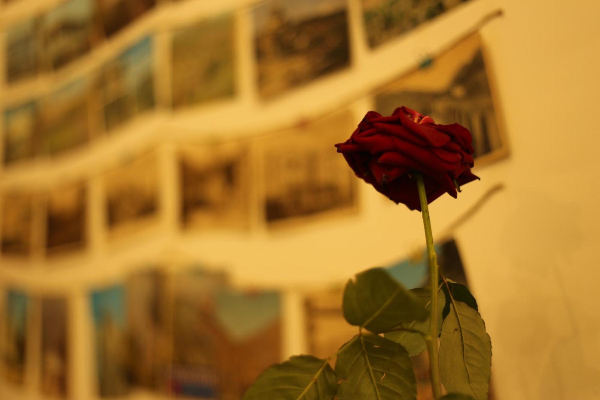 Moosica Hostel Tbilisi ภายนอก รูปภาพ
